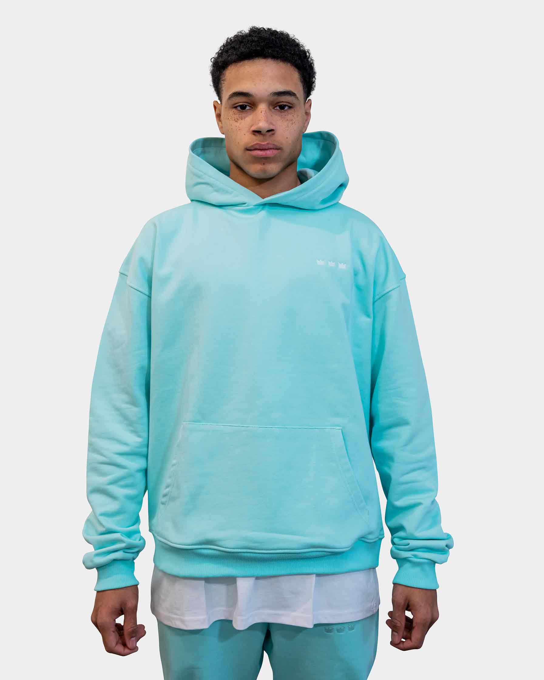 WILLIAM Hoodie Pastell Green