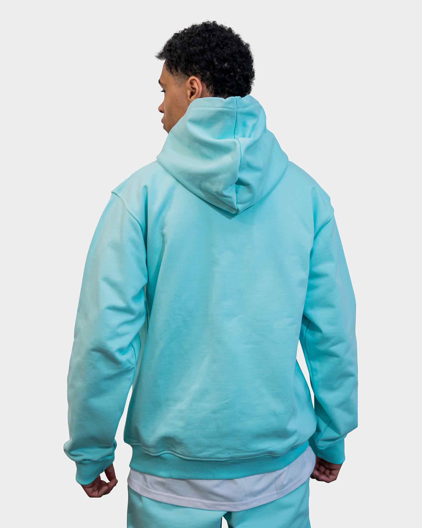 WILLIAM Zip Hoodie Pastell Green